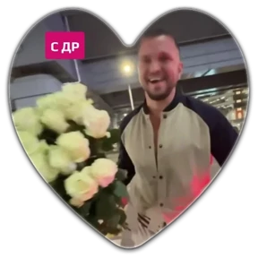 Гусь — стикер для MAX