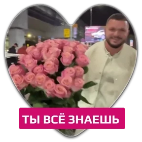 Гусь — стикер для MAX