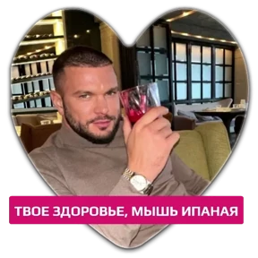 Гусь — стикер для MAX