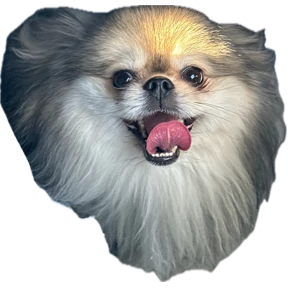 Пуфа — стикер для MAX
