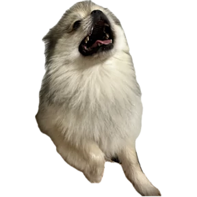 Пуфа — стикер для MAX