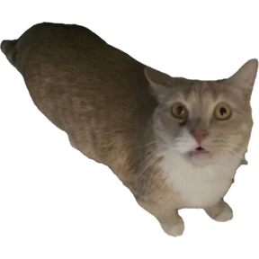 Рыжий — стикер для MAX
