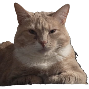 Рыжий — стикер для MAX