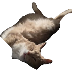 Рыжий — стикер для MAX