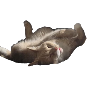 Рыжий — стикер для MAX