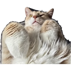 Рыжий — стикер для MAX