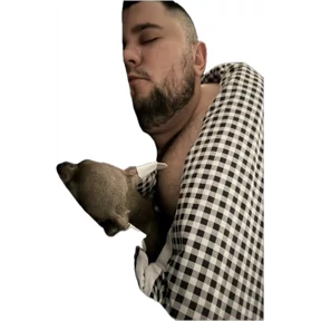 Piski — стикер для MAX