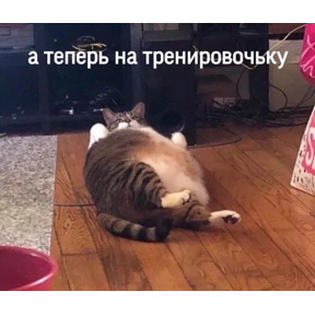 САНЕЧКА СНИМАЕШЬ. ОЙОЙОЙ — стикер для MAX