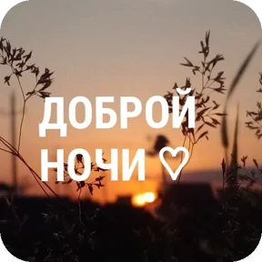Стикер