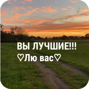 Стикер