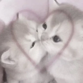 Больше у @emojipipka — стикер для MAX