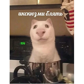 личиус — стикер для MAX