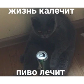 личиус — стикер для MAX