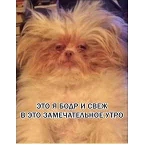 личиус — стикер для MAX