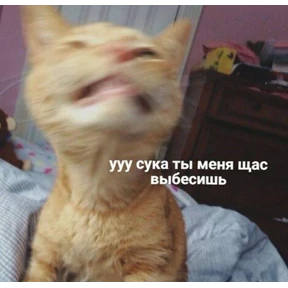 личиус — стикер для MAX