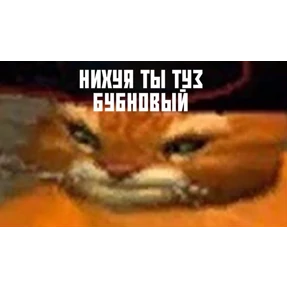 личиус — стикер для MAX
