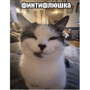 мили — стикер для MAX