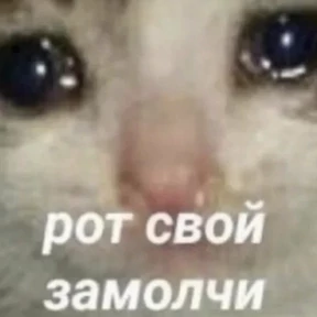 На случай важных — стикер для MAX