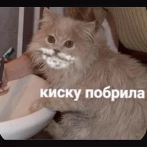 На случай важных — стикер для MAX