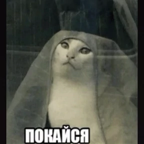 На случай важных — стикер для MAX