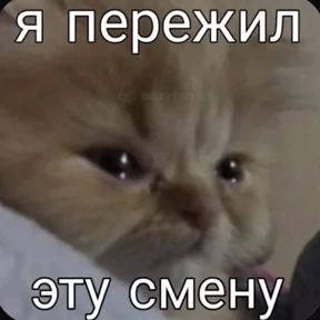 На случай важных — стикер для MAX
