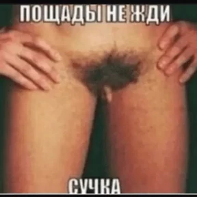 На случай важных — стикер для MAX