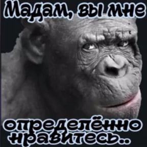 На случай важных — стикер для MAX