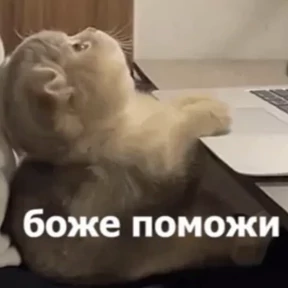 На случай важных — стикер для MAX