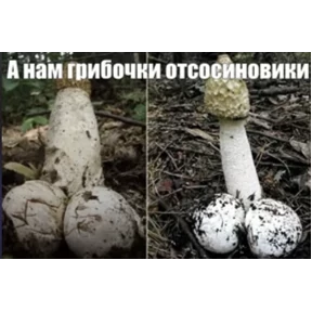 На случай важных — стикер для MAX