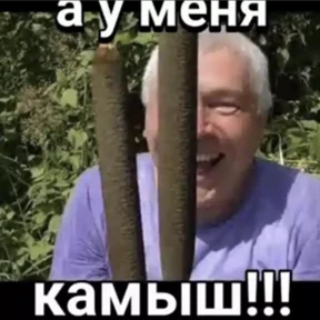 На случай важных — стикер для MAX