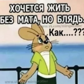 На случай важных — стикер для MAX