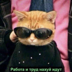 На случай важных — стикер для MAX