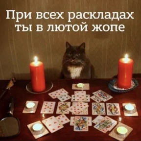 На случай важных — стикер для MAX