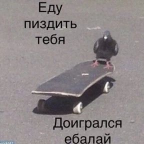 На случай важных — стикер для MAX