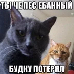 На случай важных — стикер для MAX