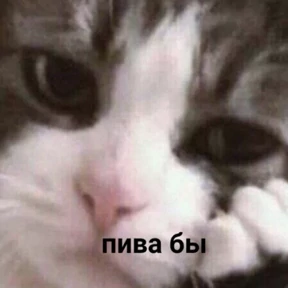На случай важных — стикер для MAX