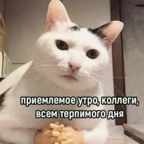 На случай важных — стикер для MAX