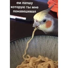 На случай важных — стикер для MAX