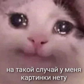 На случай важных — стикер для MAX