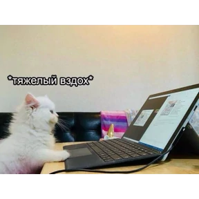 Пупупу — стикер для MAX