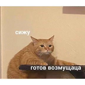 Пупупу — стикер для MAX