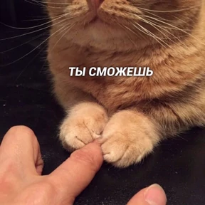 Пупупу — стикер для MAX