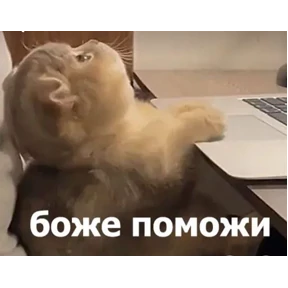 Пупупу — стикер для MAX