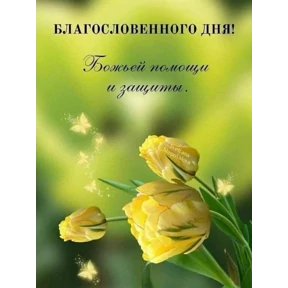 Цветы — стикер для MAX