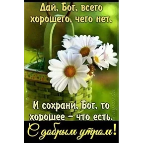 Цветы — стикер для MAX