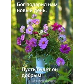Цветы — стикер для MAX