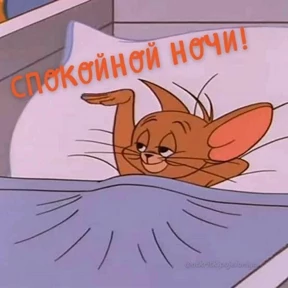 Стикеры — стикер для MAX