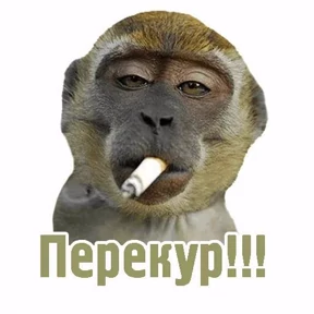 Разные — стикер для MAX