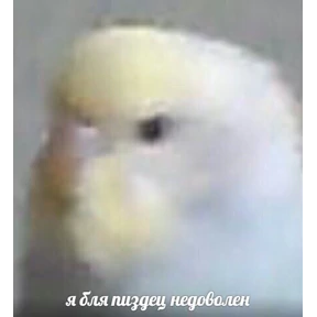 ХиханькиХаханьки — стикер для MAX