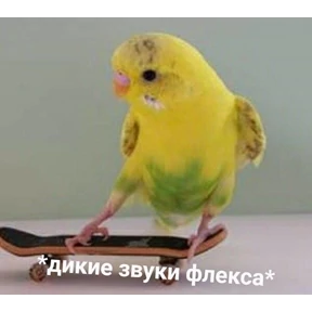 резедулькины переговоры — стикер для MAX